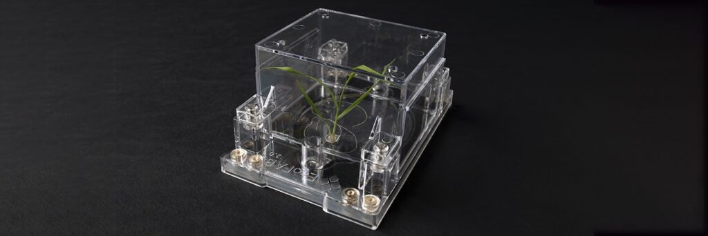 Image of an EcoFAB unit photographed against a black background, showing a plant growing under standardized conditions.