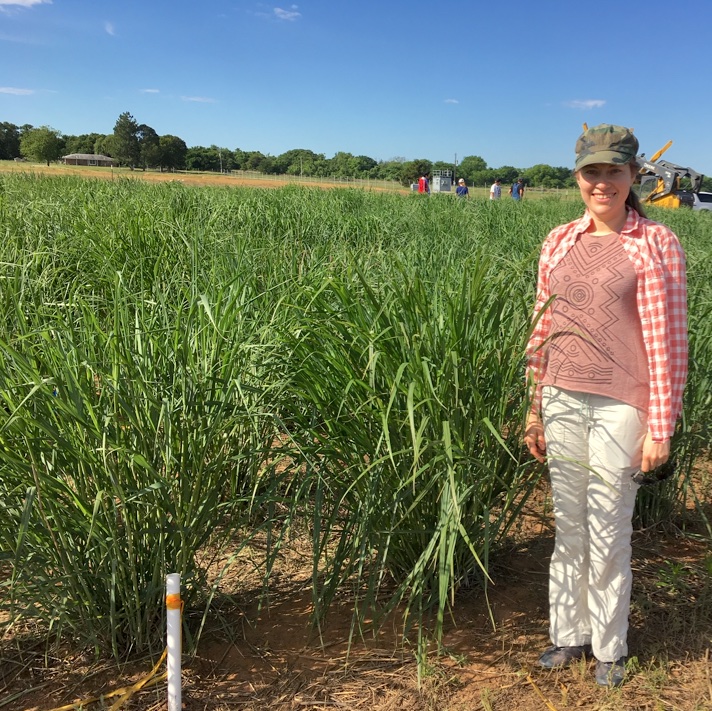 A researcher stands by a field of green plants.